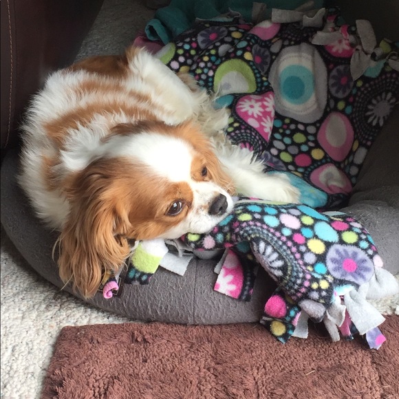 Meet your Posher, Anna - Picture 1 of 1